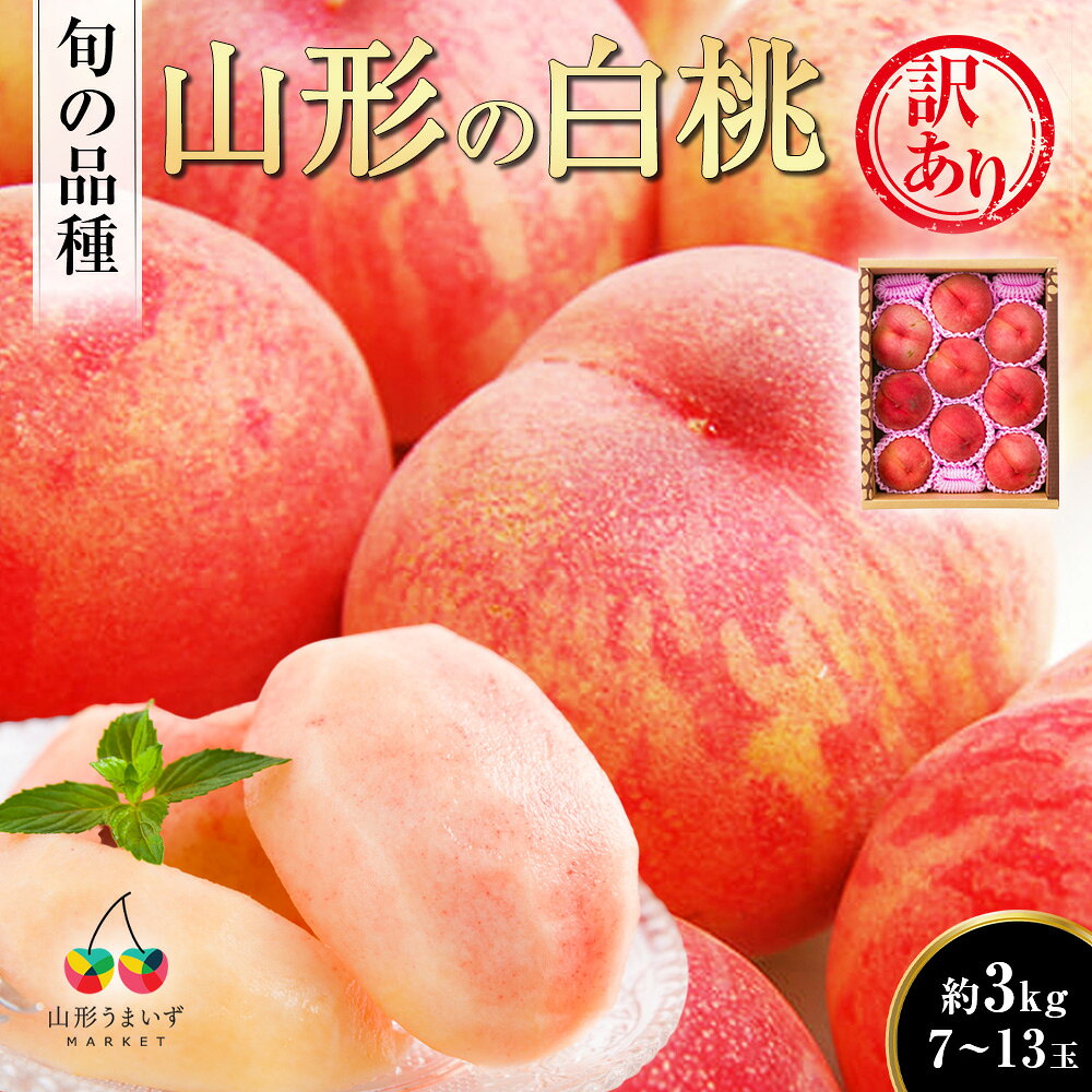 【5日20時から2時間限定＼ポイント2倍／】 《訳あり》山形の白桃 約3kg 旬の品種(7〜13玉) 白桃 もも モモ 果物 くだもの フルーツ ご家庭用 ご自宅用 訳あり 訳アリ 完熟 完熟桃 旬 お得 お買い得 お取り寄せ 人気 山形県産 山形白桃 産地直送 ジャム スイーツ｜価格・送料・ポイント還元まとめ