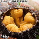 送料無料 うに 雲丹 ウニ 冷凍生うに 保存料無添加 AA 100gパック うに丼約2杯分のお試しサイズ【ウニ ウニ丼 刺身 うにパスタ うにスパゲッティ うに軍艦 ミョウバン不使用 セット ギフト 2026｜価格・送料・ポイント還元まとめ｜レビュー14件