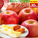 【ふるさと納税】りんご【選べる 26年11月下旬／12月 発送】りんご 葉取らず サンふじ【訳あり】約10kg【蜜入り】糖度13度以上 EMりんご 林檎 リンゴ 果物 くだもの フルーツ 青森県 弘前市 不揃い 規格外 [先行予約 家庭用 産地直送]｜価格・送料・ポイント還元まとめ｜レビュー321件