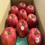 【ふるさと納税】青森県産シナノドルチェ　贈答用約3kg　まだ暑い時期に、爽やかな酸味がぴったり!【配送不可地域：離島】【1338680】｜価格・送料・ポイント還元まとめ