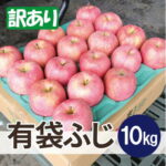 【ふるさと納税】【27年5月から順次発送】平均糖度13度以上! 有袋ふじ 約10kg 訳あり CA貯蔵 クール便【配送不可地域：離島・沖縄県】【1587541】｜価格・送料・ポイント還元まとめ