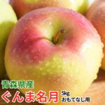 【ふるさと納税】【27年4月より順次発送】平均糖度13度以上! ぐんま名月 約5kg おもてなし用 クール便【配送不可地域：離島・沖縄県】【1610322】｜価格・送料・ポイント還元まとめ