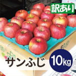 【ふるさと納税】平均糖度13度以上! サンふじ 約10kg 訳あり【配送不可地域：離島・沖縄県】【1611199】｜価格・送料・ポイント還元まとめ