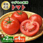 【ふるさと納税】《選べる容量》つがるの新鮮トマト (約2kg／約4kg)｜トマト とまと 新鮮 野菜 やさい リコピン サラダ おかず 弁当 ジュース パスタ サンドウィッチ 具材 青森県 つがる市 国産 農協 産直 贈答 ギフト [1002-1004]｜価格・送料・ポイント還元まとめ