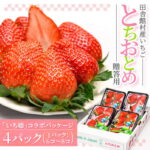 【ふるさと納税】田舎館村産いちご とちおとめ 贈答用【配送不可地域：離島】【1637903】｜価格・送料・ポイント還元まとめ