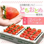【ふるさと納税】田舎館村産いちご とちおとめ【大粒】 贈答用【配送不可地域：離島】【1637919】｜価格・送料・ポイント還元まとめ