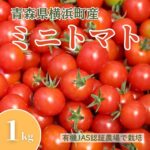 【ふるさと納税】横浜町産ミニトマト1kg｜価格・送料・ポイント還元まとめ