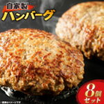 【ふるさと納税】 訳あり 自家製 ハンバーグ 100g×8個 計800g [肉工房たか 青森県 おいらせ町 oi02ayo670001] 肉 国産 加工品 豚肉 牛肉 不揃い 訳アリ 小分け 冷凍｜価格・送料・ポイント還元まとめ｜レビュー1件