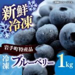 【ふるさと納税】 ブルーベリー 冷凍 国産 大粒 1kg 冷凍ブルーベリー 完熟 冷凍フルーツ 冷凍果物 果物 フルーツ ベリー 岩手県産 岩手町産 スムージー ヨーグルト ジャム ジュース 食物繊維 ビタミンE アントシアニン ジャム 健康 美容 お菓子作り 朝食 おやつ スイーツ｜価格・送料・ポイント還元まとめ｜レビュー6件