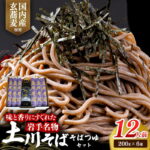 【ふるさと納税】そば 乾麺 岩手名物「土川そば（6束）」と「そばつゆ」セット 蕎麦 12人前 玄そば ギフト 贈り物 干そば 年越しそば セット 岩手県 岩手町｜価格・送料・ポイント還元まとめ