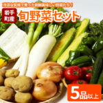 【ふるさと納税】岩手町産の旬野菜セット 野菜 旬 やさい 新鮮 採れたて 詰合せ セット おまかせ｜価格・送料・ポイント還元まとめ