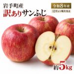 【ふるさと納税】りんご 訳あり サンふじ 約5kg 家庭用 令和8年産 2026年産 先行予約 リンゴ 林檎 サンフジ ふじ 国産 岩手県産 岩手町産 規格外 不揃い 傷 キズ 果物 フルーツ くだもの 果実 アップル 約5キロ 訳アリ わけあり 常温 お取り寄せ 自宅用 旬 冬 東北 12月発送｜価格・送料・ポイント還元まとめ