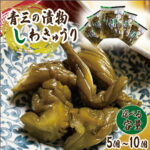 【ふるさと納税】しわきゅうり 150g 漬物 紫波町産 熟成【青三】【選べる容量】5個 | 10個 漬物 漬け物 つけもの 野菜 きゅうり キュウリ 胡瓜 取り寄せ お取り寄せ 惣菜 つまみ お供 ご飯のお供 ご飯のお友 おかず 弁当 老舗 青三 熟成 国産｜価格・送料・ポイント還元まとめ