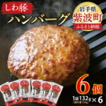 【ふるさと納税】 無添加「【しわ豚】ハンバーグ6個 」（AM005-2）｜価格・送料・ポイント還元まとめ