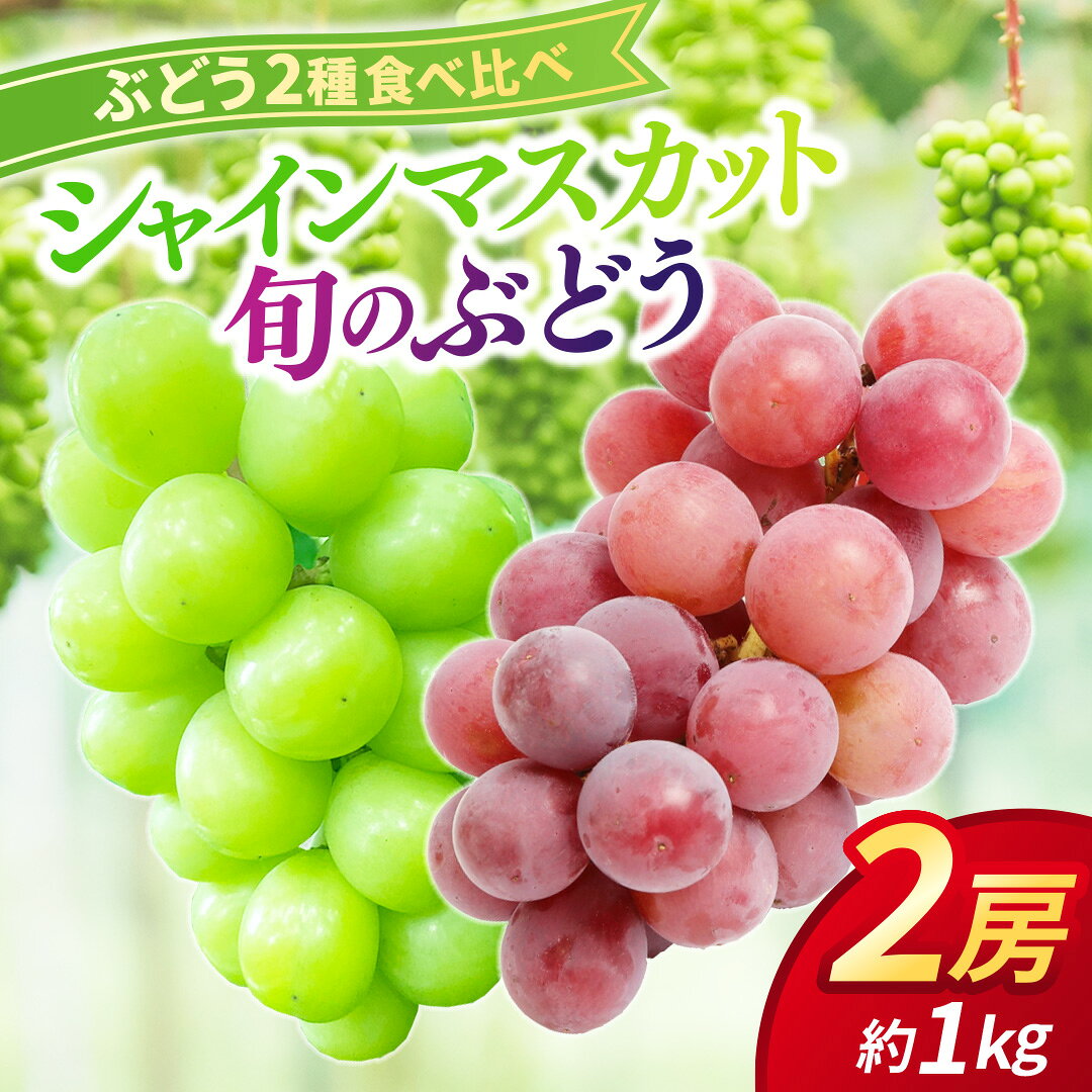 【ふるさと納税】ぶどう食べ比べ 2房（約1kg）旬のぶどう＆シャインマスカット 【2026年9月下旬発送開始】 【数量限定・受付終了間近】葡萄 ブドウ セット アソート シャインマスカット 安芸クイーン クイーンニーナ ロザリオロッソ ピオーネ 高妻 藤稔 採れたて (DH005)｜価格・送料・ポイント還元まとめ｜レビュー2件