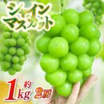 【ふるさと納税】シャインマスカット 2房（約1kg）【2026年9月下旬発送開始】【数量限定・受付終了間近】 種なし 種無し 糖度20度前後 数量限定 ぶどう 葡萄 ブドウ 大粒 採れたて 生産農家直送 農家直送 紫波町 フルーツ 果物 岩手県 くだもの ふるーつ 取り寄せ (DH006)｜価格・送料・ポイント還元まとめ｜レビュー1件
