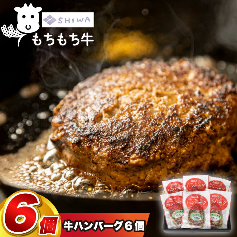 【ふるさと納税】＼オリジナルソース付き／ 黒毛和種しわ もちもち牛入りハンバーグ 6個入 (120g×6P) (AM008)｜価格・送料・ポイント還元まとめ