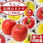 【ふるさと納税】【ご家庭用】りんご 品種おまかせ 2種Mix 【選べる内容量】3kg 5kg リンゴ 林檎 果物 フルーツ 岩手 詰め合わせ 詰合せ くだもの 旬 ワケアリ 訳あり 先行予約 特別栽培｜価格・送料・ポイント還元まとめ