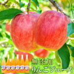 【ふるさと納税】搾りたて果汁100％！無添加りんごジュースお楽しみ6本セット　訳あり/さんふじ サンフジ サンふじ 送料無料 矢巾町産 りんご 予約 蜜 ジュース 甘い 酸味 贈答 ギフト プレゼント リンゴ 林檎 果物 くだもの フルーツ 岩手県 矢巾町｜価格・送料・ポイント還元まとめ
