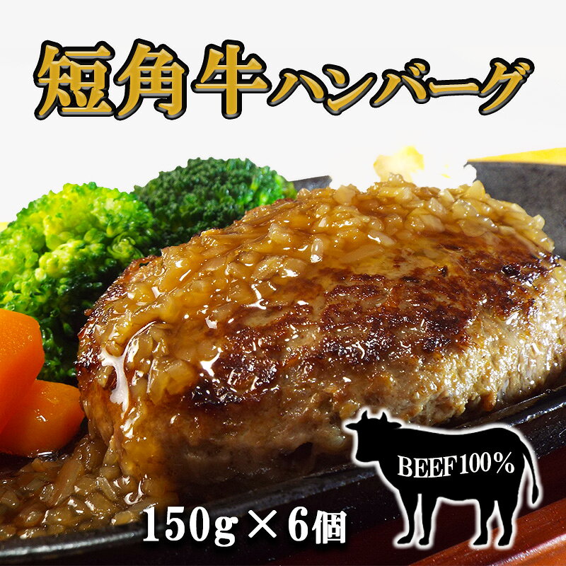 【ふるさと納税】短角牛ハンバーグ　ビーフ100％！　150g×6個/肉 高級 牛 牛肉 和牛 ブランド牛 短角牛 国産牛 個包装 バーベキュー アミノ酸 イノシン酸 おいしい 冷凍 小分け おすすめ おかず 夕食 お弁当 ランチ お祝い 父の日 母の日 送料無料 プレゼント ギフト 贈答｜価格・送料・ポイント還元まとめ｜レビュー1件