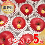 【ふるさと納税】高橋りんご園　『サンふじ』5kg(12～14玉)　フルーツキャップ付き　贈答用にもオススメ！/さんふじ サンフジ サンふじ 送料無料 矢巾町産 りんご 予約 蜜 シャキシャキ 甘い 酸味 贈答 ギフト プレゼント リンゴ 林檎 果物 くだもの フルーツ 岩手県 矢巾町｜価格・送料・ポイント還元まとめ
