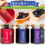 【ふるさと納税】山里の恵みジャム3本（イチゴ・ブルーベリー・ハックルベリー） 岩手県西和賀町 にしわが やまに農産｜価格・送料・ポイント還元まとめ