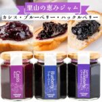 【ふるさと納税】山里の恵みジャム3本（カシス・ブルーベリー・ガーデンハックルベリー） 岩手県西和賀町 にしわが やまに農産｜価格・送料・ポイント還元まとめ