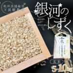 【ふるさと納税】【令和8年産 予約販売】【10月末以降順次発送】平泉町産 銀河のしずく 玄米 5kg 10kg / こめ 乾田直播 コメ 乾田直播栽培米 銀河のしずく 米 お米 おこめ 玄米 ご飯 ごはん ライス｜価格・送料・ポイント還元まとめ