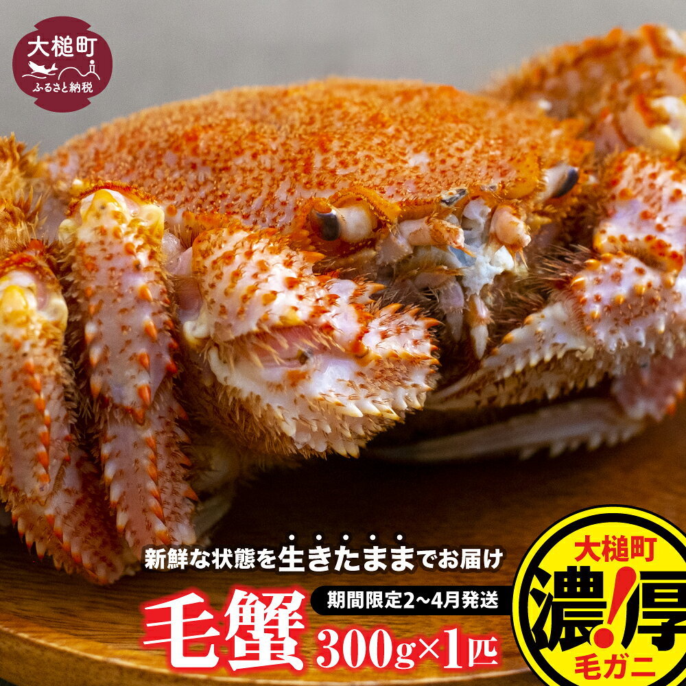 【ふるさと納税】【令和9年発送】活毛ガニ 300g×1杯〜100杯 ≪2027年2月〜4月発送≫ 天然 毛蟹 冷蔵 発送 新鮮 活かに 期間限定 岩手県大槌町 三陸 いわて iwate｜価格・送料・ポイント還元まとめ｜レビュー10件