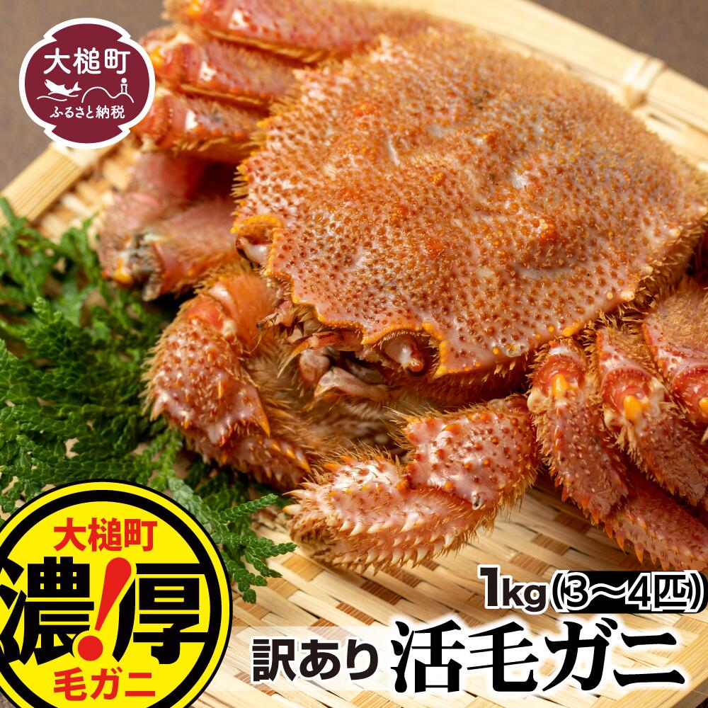 【ふるさと納税】【令和9年発送】※訳あり※ 活毛ガニ 1kg(2杯)(3～4杯)～10kg 天然 毛蟹 冷蔵 発送 新鮮 活かに ≪ 2027年 2月〜4月発送≫ 期間限定 岩手県大槌町 三陸 いわて iwate｜価格・送料・ポイント還元まとめ｜レビュー37件