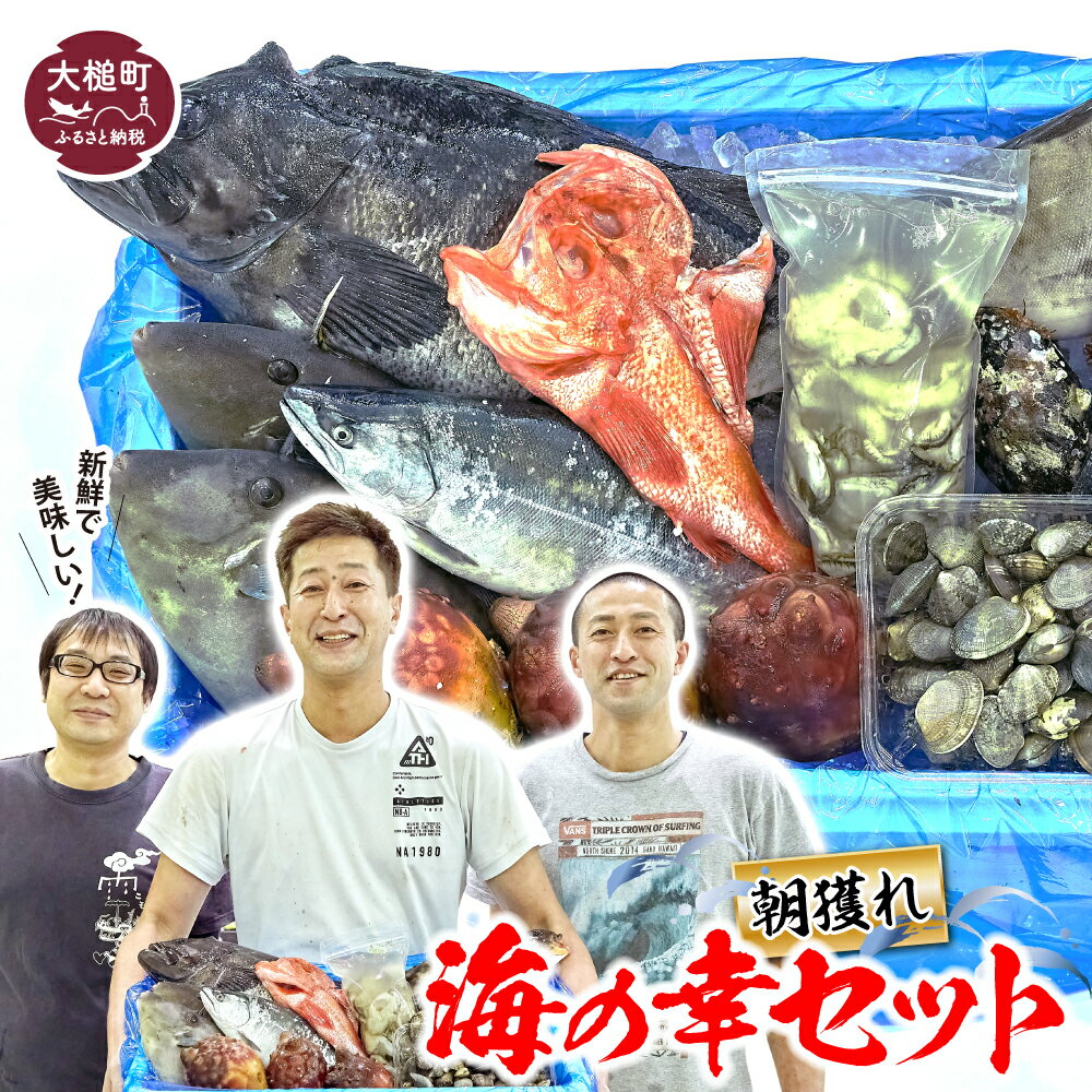 【ふるさと納税】 朝獲れ海の幸セット（旬の鮮魚、海藻などの詰合せ） 朝どれ 海の幸 セット 詰合せ 詰め合わせ つめあわせ 魚介 鮮魚 旬 海藻 活魚 岩手県 大槌町｜価格・送料・ポイント還元まとめ