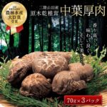 【ふるさと納税】名人が作る 三陸山田産 原木椎茸「中葉厚肉」 しいたけ 椎茸 乾椎茸 乾しいたけ 岩手県 三陸山田 山田町 野菜 きのこ きのこ名人 農林水産大臣賞 匠 YD-455｜価格・送料・ポイント還元まとめ｜レビュー1件