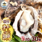 【ふるさと納税】【産地直送】 先行予約 12月以降順次発送 三陸山田産 殻付き 牡蠣 10個 20個 30個 大福丸 岩手県 三陸山田 山田町 山田湾 三陸 海産品 かき カキ 牡蠣｜価格・送料・ポイント還元まとめ｜レビュー3件