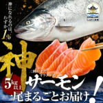 【ふるさと納税】【R9年度先行予約】神 サーモン 数量限定 5キロ以上一尾まるごとお届け シリアルナンバー入りの木札つき【三陸やまだ漁協】三陸山田 山田町 山田湾 山田産 トラウトサーモン 鮭 養殖 刺身 カルパッチョ 生食｜価格・送料・ポイント還元まとめ