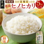 【ふるさと納税】都城産ヒノヒカリ5kg【旅館・常盤荘のお米】 – 令和8年産 精米 5kg×1袋 お米 ご飯 白米 コメ 食事 食卓 もちもち 食感 あっさり 常温配送 宮崎県産 単一原料米 新米 送料無料 J7-026 【宮崎県都城市】｜価格・送料・ポイント還元まとめ｜レビュー11件