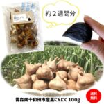 黒にんにく お試し 100g 青森県産 無添加 送料無料 1000円ポッキリ 国産 ギフト 食品 健康 料理 美容 サプリメント にんにく 福地ホワイト六片種 買い回り ポイント消化 1〜3日以内出荷 （定休日を除く）｜価格・送料・ポイント還元まとめ｜レビュー98件