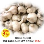 ＼ R8年産 新物 にんにく ／ Mサイズ 2kg 国産 訳あり 青森県産 無添加 送料無料 Mサイズ以上 サイズ混合 多少の土付き根あり 福地ホワイト六片種 青森県十和田市産 ニンニク 料理 令和8年産 1〜3日以内出荷（定休日を除く）｜価格・送料・ポイント還元まとめ｜レビュー103件